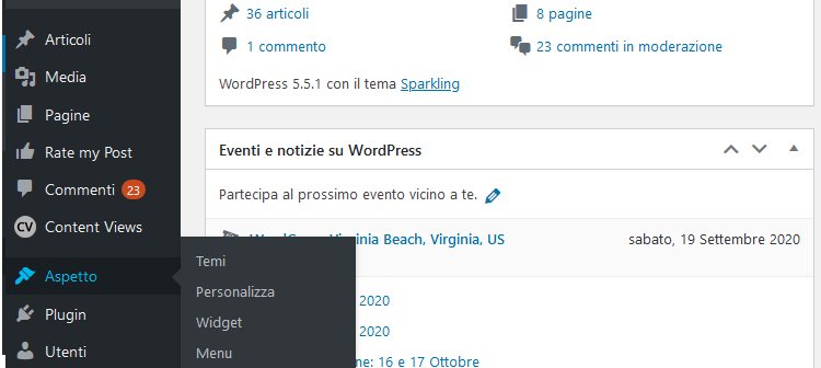 Gestione aspetto WordPress